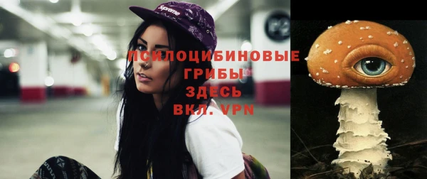 соль ск Касимов