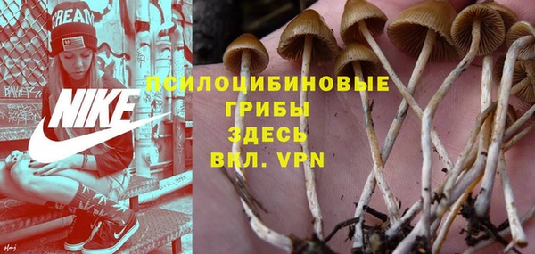 меф Каменногорск
