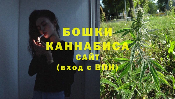 гидропоника Карталы